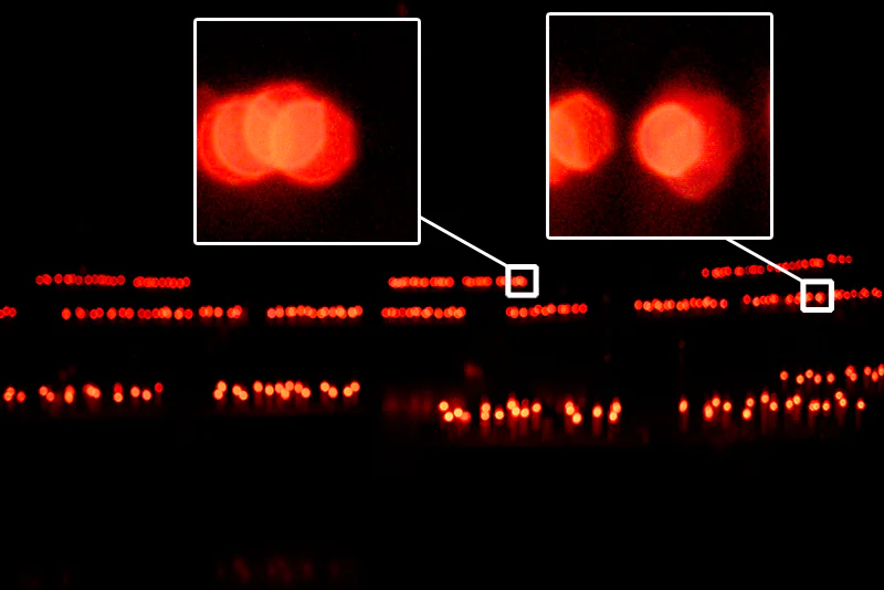 La struttura ottagonale dei punti di luce nelle aree fuori fuoco viene mantenuta anche ai bordi del fotogramma senza particolari deformazioni